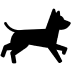 dog-running 1